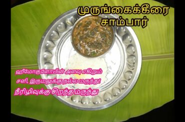 முருங்கைக்கீரை சாம்பார்| Healthy Sambhar Recipe for Lunch | Murungakeerai Sambhar
