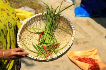 Very Unique Moringa Drumstick Recipe - Cooking Show - Healthy Recipe