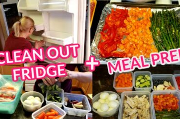 HEALTHY SNACKS KID APPROVED| MEAL PREP FOR THE WEEK| FRIDGE CLEAN OUT