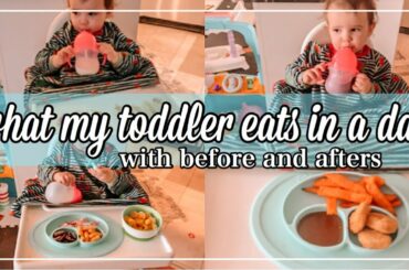 WHAT MY TODDLER EATS IN A DAY // TODDLER MEAL IDEAS // DAY IN THE LIFE