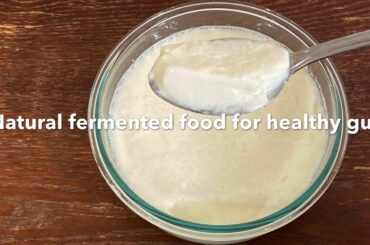 Homemade yogurt | natural fermented | vitamin b12 | gut health | healthy recipes