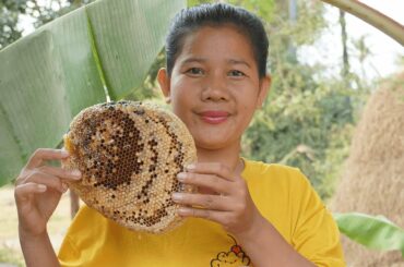 Have you ever eaten Honeybee dried? Healthy food with honeybee recipe by Pisey Kitchen