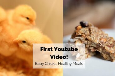 First Youtube Video!! // BABY CHICKS + a day of HEALTHY MEALS