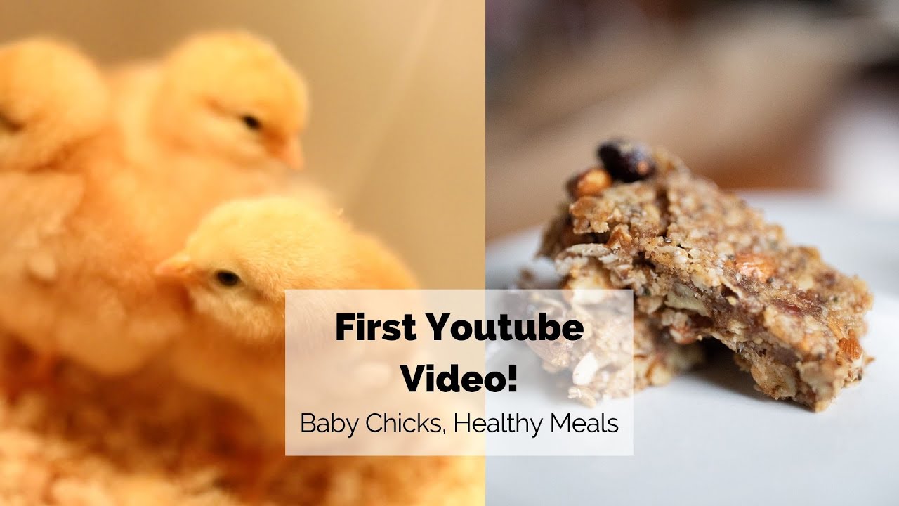 First Youtube Video!! // BABY CHICKS + a day of HEALTHY MEALS First Youtube Video!! // BABY CHICKS + a day of HEALTHY MEALS