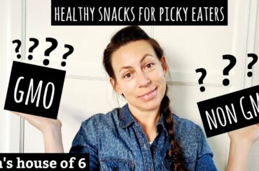 Non GMO Snacks for Picky Kids & Families | Heathy Snack Ideas | School Lunch Snacks | Say No to GMO