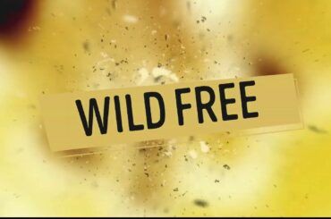 Avocado sandwich/healthy, simple and quick breakfast