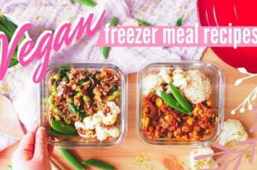 HEALTHY PLANT BASED FREEZER MEAL RECIPES ≫ Bento box style homemade TV dinner | VEGAN MEAL PREP