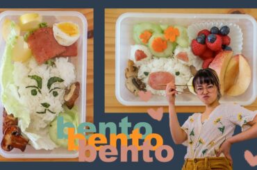making bento boxes 🌼