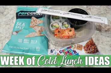 Cold Lunch Ideas | School & Work Lunches | March 2020
