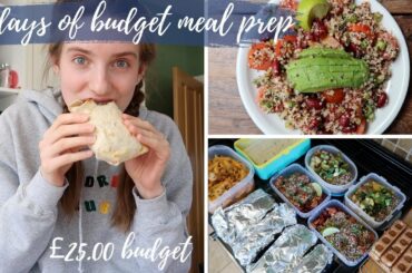 5 days of meal prep (£25 edition)