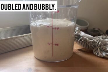 Amazing and Simple Sourdough Focaccia