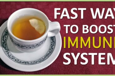 Fast way to boost your immune system by AQ Meal, Improve immune system