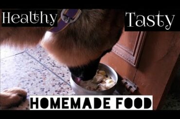 Mr. JoJo's fav lunch + healthy lunch