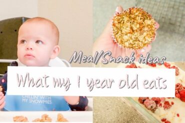 WHAT MY 1 YEAR OLD EATS IN A DAY | MEAL AND SNACK IDEAS FOR TODDLERS