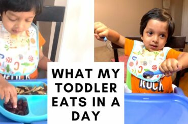 WHAT MY 2 YEAR OLD EATS IN A DAY  TODDLER MEAL IDEAS  KIDS MEAL IDEAS | MILLENNIAL MOMMY