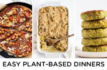 EASY PLANT BASED DINNERS ‣‣ weeknight dinner ideas