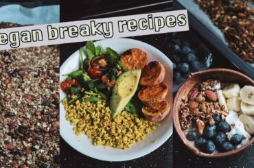 3 Healthy Vegan Breakfast Recipes - Sweet & Savoury