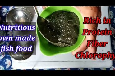 Nutritious Protein Paste - raise your fry healthy/Food for your breeders