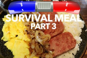 Delicious Survival Meal (Quick N Simple)