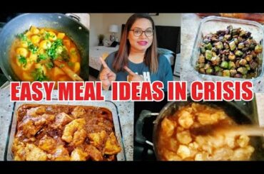 WHAT I COOK IN CRISIS SITUATION?? STAY AT HOME MEAL IDEAS || EASY MEAL PLAN || INDIAN VLOGGER IN USA