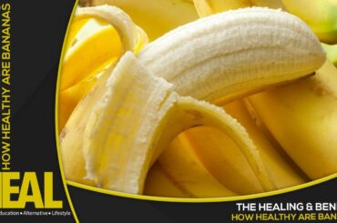 How Healthy Are Bananas