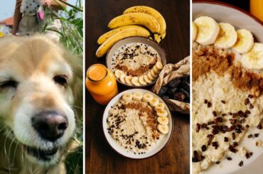 Vegan Breakfast Ideas & Lockdown Grocery Preparation