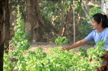 Crispy Shrimp With Bread Crumbs Recipe / Healthy food / Prepare By Countryside Life TV.