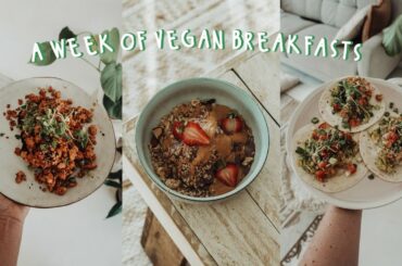 A WEEK OF VEGAN BREAKFASTS | Cafe-Inspired Brunch Recipes 🥑🌮🥥