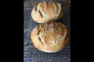 Super Easy and Delicious No-Knead Bread Recipe (Paine Neframantata)