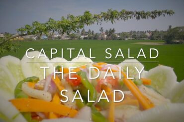 THE DAILY SALAD | DIET FOR BOOSTING IMMUNITY | BEST AND HEALTHY SALAD RECIPES.