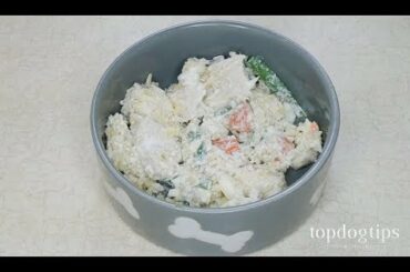 Homemade Dog Food for Renal Disease Recipe (Simple and Quick to Make)