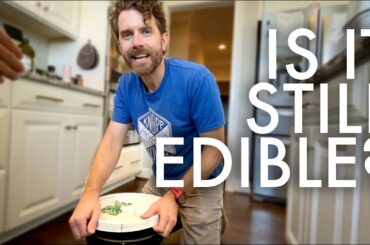 OPENING 25+ YR OLD FOOD STORAGE : Adventuring Family of 11