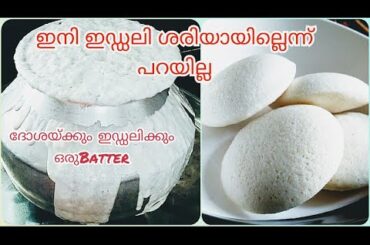ഇനി എല്ലാർക്കും Perfect ഇഡ്ഡലി ഉണ്ടാക്കാം|| How To Make Soft Idli || Breakfast Recipe||Aynu's World