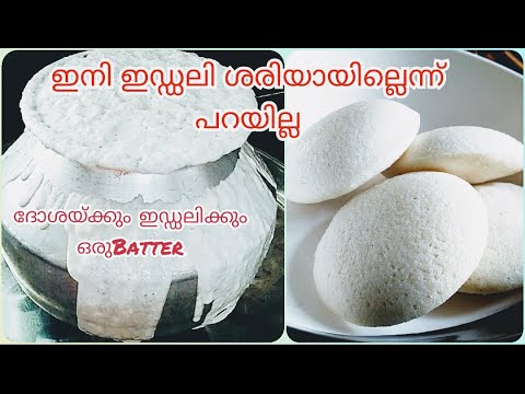 ഇനി എല്ലാർക്കും Perfect ഇഡ്ഡലി ഉണ്ടാക്കാം|| How To Make Soft Idli || Breakfast Recipe||Aynu's World ഇനി എല്ലാർക്കും Perfect ഇഡ്ഡലി ഉണ്ടാക്കാം|| How To Make Soft Idli || Breakfast Recipe||Aynu's World