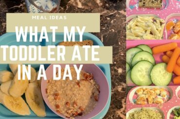 WHAT MY TODDLER ATE IN A DAY | Breakfast, lunch, dinner, and snack ideas!