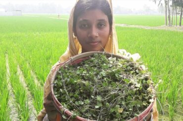 Healthy Village Food | Manimoni Shak / Spinach Recipe Cooking By Street Village Food