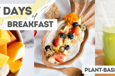 7 Days of HEALTHY BREAKFAST