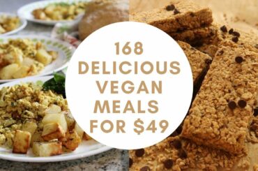 EASY VEGAN MEAL IDEAS + RECIPES | Feeding a family of 8 on a budget for a week