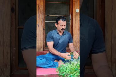 A different healthy breakfast for you devoid of carbohydrate.