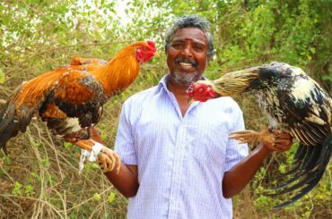 KING OF ROOSTER GRAVY | COUNTRY CHICKEN RECIPE PREPARED BY DADDY | FARMER COOKING