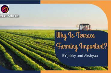 Why is Terrace Farming important ? and some healthy food recipe inside.