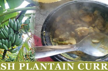 ash plantain curry cooking by village of food | Healthy food recipe |