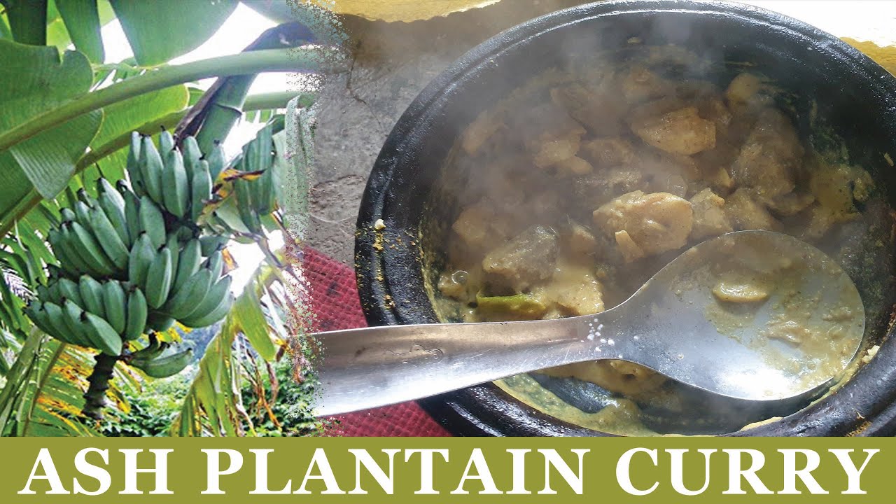 ash plantain curry cooking by village of food | Healthy food recipe | ash plantain curry cooking by village of food | Healthy food recipe |