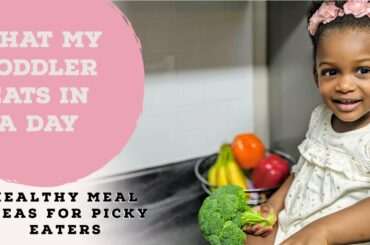 WHAT MY TODDLER EATS IN A DAY |PICKY EATER MEAL IDEAS! | PANCAKE RECIPE
