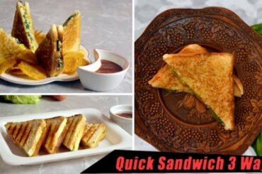Sandwich 3-Ways | 3 Quick & Easy Sandwich Recipes | 3-Way Tawa Bread Sandwich Recipes | Hunger Plans