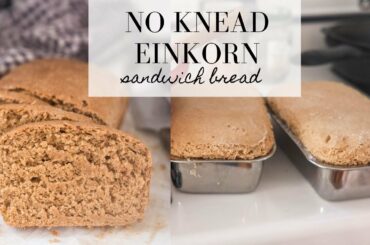Einkorn Sandwich Bread | Homesteaders of America Grow Your Own Food Collab