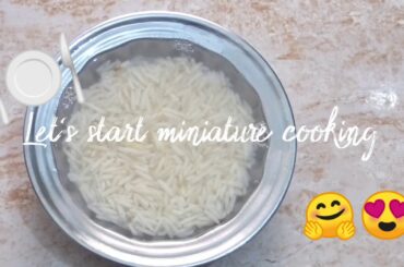 Healthy Chicken Salad by it's All about Life | miniature cooking | let's Boil Rice in mini Cooking