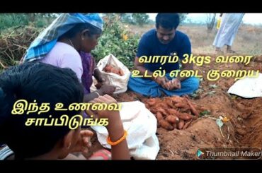 Lose Upto 3 to 4 kgs In A Week/Weight Loss Indian Recipe In Tamil /Busy Morning Routine In Tamil