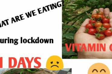 Simple & Quick Egg recipe||Stay Healthy||Stay Home||Lockdown