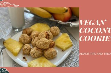 Vegan coconut cookies (healthy snack/gluten and sugar free/low in calories/good shape)